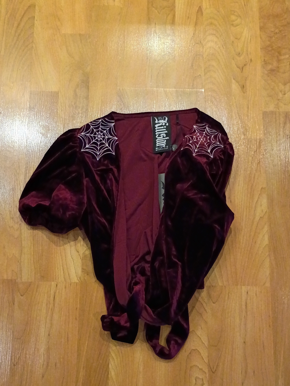 Killstar Velvet Crop Top in Deep Burgundy with Spiderweb Embroidery
